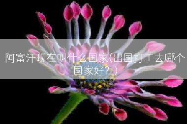 阿富汗现在叫什么国家(出国打工去哪个国家好？)