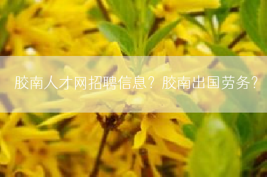 胶南人才网招聘信息？胶南出国劳务？