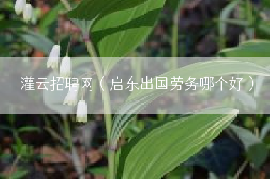 灌云招聘网（启东出国劳务哪个好）