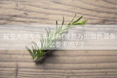延安大学专升本报名(我想办出国的劳务有什么要求吗？)