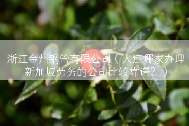 浙江金州钢管有限公司（大连哪家办理新加坡劳务的公司比较靠谱？）