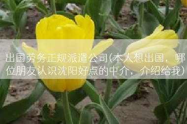 出国劳务正规派遣公司(本人想出国，哪位朋友认识沈阳好点的中介，介绍给我)