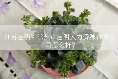 江苏启明？常州市启明人力资源有限公司怎么样？