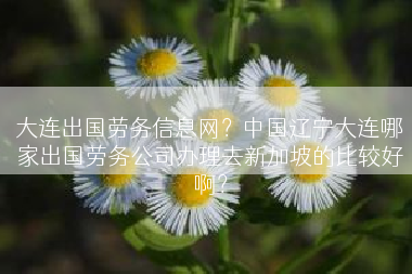 大连出国劳务信息网？中国辽宁大连哪家出国劳务公司办理去新加坡的比较好啊？