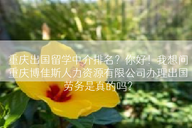 重庆出国留学中介排名？你好！我想问重庆博佳斯人力资源有限公司办理出国劳务是真的吗？