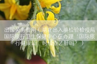 出国劳务费用（湖北出入境检验检疫局国际旅行卫生保健中心在办理‘国际旅行健康证’时检查乙肝吗？）
