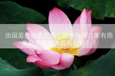 出国劳务派遣资质（陕西有哪几家有商务局资质出国劳务公司？）
