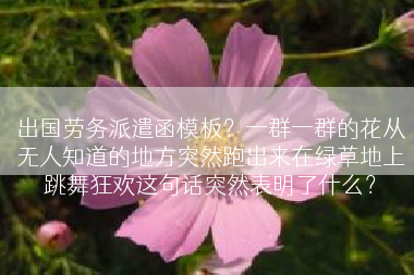 出国劳务派遣函模板？一群一群的花从无人知道的地方突然跑出来在绿草地上跳舞狂欢这句话突然表明了什么？