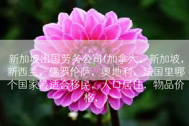 新加坡出国劳务公司(加拿大，新加坡，新西兰，佛罗伦萨，奥地利，法国里哪个国家最适合移民，人口居住，物品价格，)