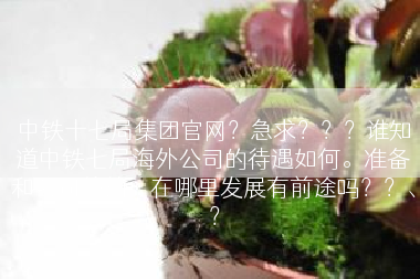 中铁十七局集团官网？急求？？？谁知道中铁七局海外公司的待遇如何。准备和公司签约。在哪里发展有前途吗？？、？