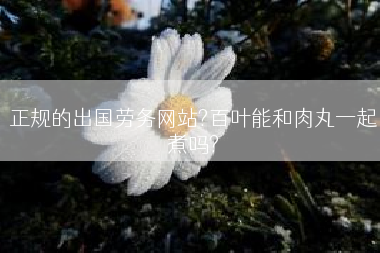 正规的出国劳务网站?百叶能和肉丸一起煮吗?