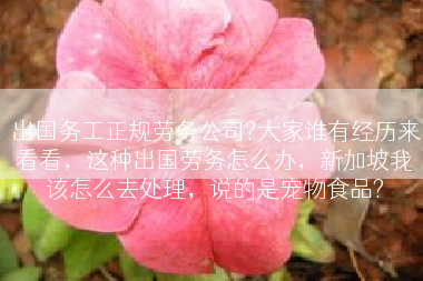 出国务工正规劳务公司?大家谁有经历来看看，这种出国劳务怎么办，新加坡我该怎么去处理，说的是宠物食品?