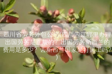 四川省劳务外包公司(四川内江哪里办理出国劳务是正规的？出国劳务新西兰的费用是多少？去新西兰国家是打黑工吗？)