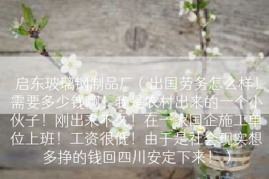 启东玻璃钢制品厂（出国劳务怎么样！需要多少钱啊！我是农村出来的一个小伙子！刚出来不久！在一家国企施工单位上班！工资很低！由于是社会现实想多挣的钱回四川安定下来！）