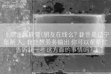 十鼎金属软管(朋友在线么? 我也是辽宁阜新 人, 我也想劳务输出 你可以帮帮忙 告诉我一些这方面的事情吗？)