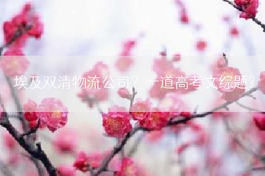 埃及双清物流公司？一道高考文综题？