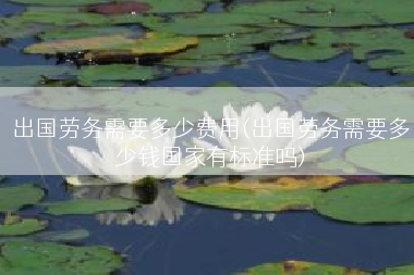 出国劳务需要多少费用(出国劳务需要多少钱国家有标准吗)