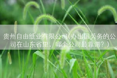 贵州自由纸业有限公司(办出国劳务的公司在山东省里，哪个公司最靠谱？)