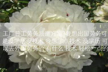 工厂普工劳务派遣方案?我想出国劳务可是没学历没技术 我想学点技术 没学历 可以去外国劳务的 有什么 技术 轻松一点的?