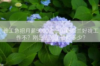 普工急招月薪5000？出国新西兰好找工作不？刚出去的工资能多少？