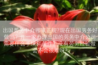 出国劳务中介哪家正规?现在出国劳务好做吗？开一家办理出国的劳务中介公司需要什么手续和条件？没有劳务经验做会不会很难呀?