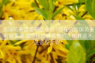 出国劳务需要哪些条件?现在的出国劳务有好多是落地付款劳务费的，那样是不是很安全呢?