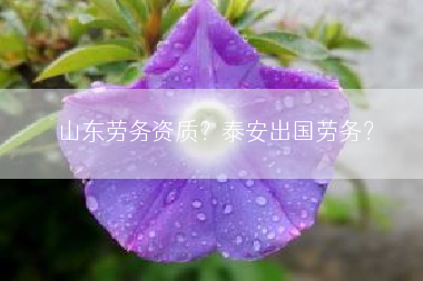 山东劳务资质？泰安出国劳务？