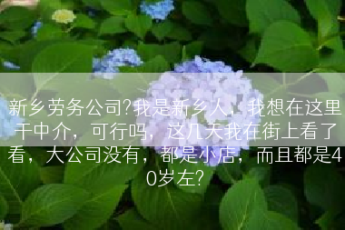 新乡劳务公司?我是新乡人，我想在这里干中介，可行吗，这几天我在街上看了看，大公司没有，都是小店，而且都是40岁左?