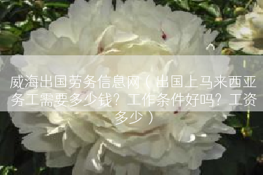 威海出国劳务信息网（出国上马来西亚务工需要多少钱？工作条件好吗？工资多少）