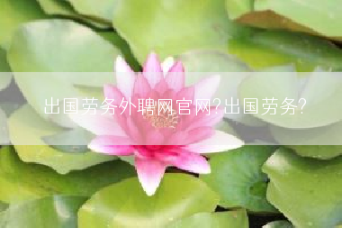 出国劳务外聘网官网?出国劳务?
