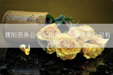 濮阳劳务公司（梅河口出国劳务公司有哪些）