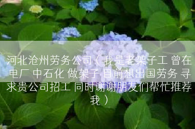 河北沧州劳务公司（我是老架子工 曾在电厂 中石化 做架子 目前想出国劳务 寻求贵公司招工 同时谢谢朋友们帮忙推荐我）