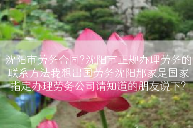 沈阳市劳务合同?沈阳市正规办理劳务的联系方法我想出国劳务沈阳那家是国家指定办理劳务公司请知道的朋友说下?
