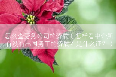 怎么查劳务公司的资质（怎样看中介所有没有出国务工的资质？是什么证？）