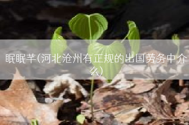 眠眠芊(河北沧州有正规的出国劳务中介么)