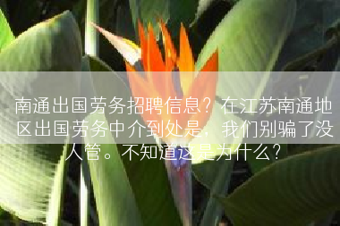 南通出国劳务招聘信息？在江苏南通地区出国劳务中介到处是，我们别骗了没人管。不知道这是为什么？