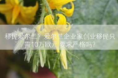 移民爱尔兰？爱尔兰企业家创业移民只需10万欧元 要求严格吗？