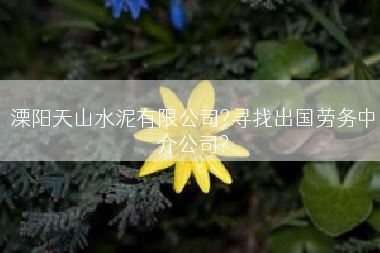 溧阳天山水泥有限公司?寻找出国劳务中介公司?