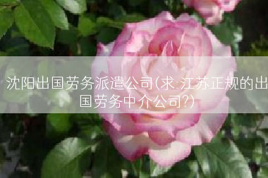 沈阳出国劳务派遣公司(求:江苏正规的出国劳务中介公司?)