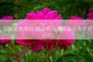 出国劳务烟台(烟台有几家出国劳务中介公司)
