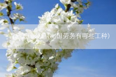 青岛万国公墓(出国劳务有哪些工种)