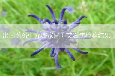 出国劳务中介哪家好（艾滋病检验结果）