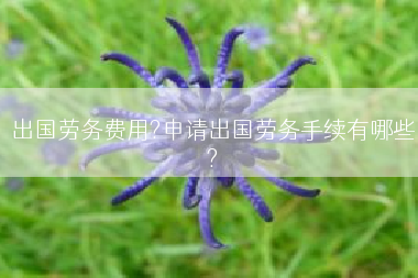 出国劳务费用?申请出国劳务手续有哪些?