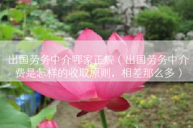 出国劳务中介哪家正规（出国劳务中介费是怎样的收取原则，相差那么多）