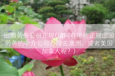 出国劳务公司正规(请问有那些正规出国劳务的中介公司办理去澳洲，或者美国加拿大呢？)