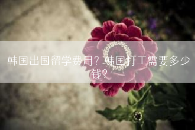 韩国出国留学费用？韩国打工需要多少钱？