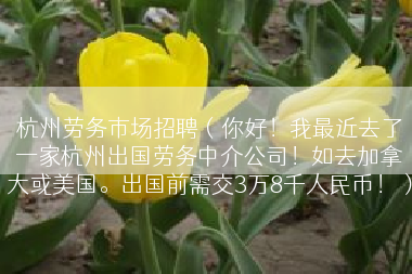 杭州劳务市场招聘（你好！我最近去了一家杭州出国劳务中介公司！如去加拿大或美国。出国前需交3万8千人民币！）