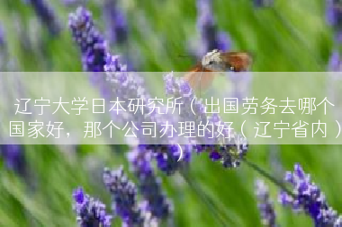 辽宁大学日本研究所（出国劳务去哪个国家好，那个公司办理的好（辽宁省内））