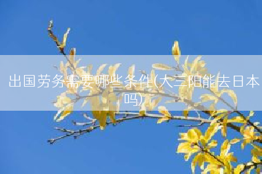 出国劳务需要哪些条件(大三阳能去日本吗)