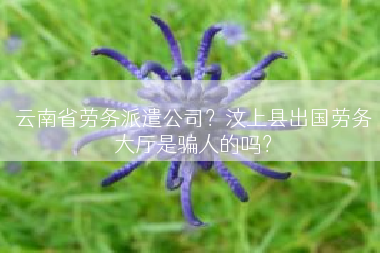 云南省劳务派遣公司？汶上县出国劳务大厅是骗人的吗？